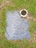 image of grave number 655013